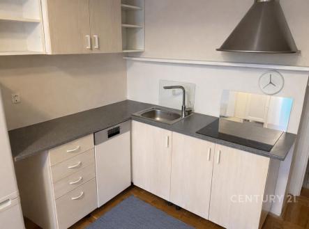 Pronájem bytu, 1+1, 47 m²