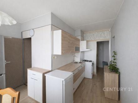 Prodej bytu, 1+1, 45 m²