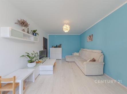 Pronájem bytu, 3+1, 75 m²