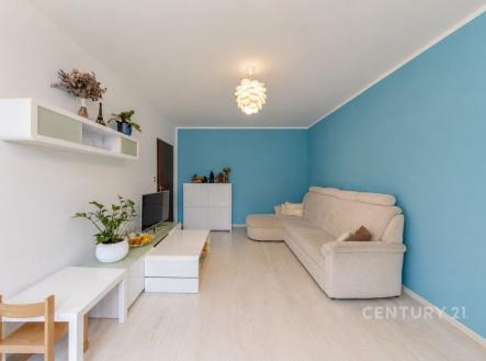 Pronájem bytu, 3+1, 75 m²