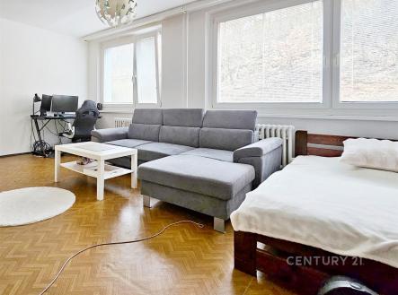 Pronájem bytu, 1+kk, 33 m²