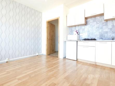 Prodej bytu, 1+kk, 24 m²