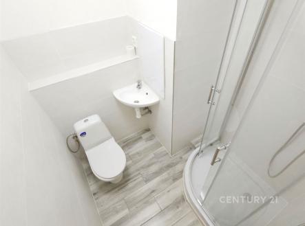 Prodej bytu, 1+kk, 24 m²