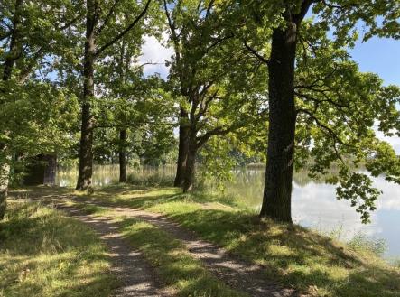 Prodej pozemku pro bydlení, 922 m²