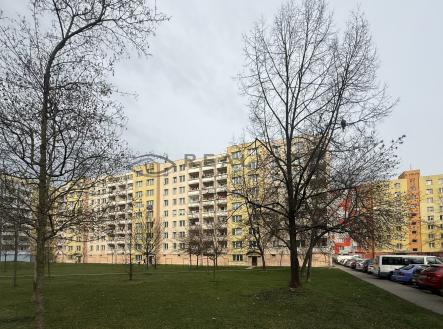 IMG_7472