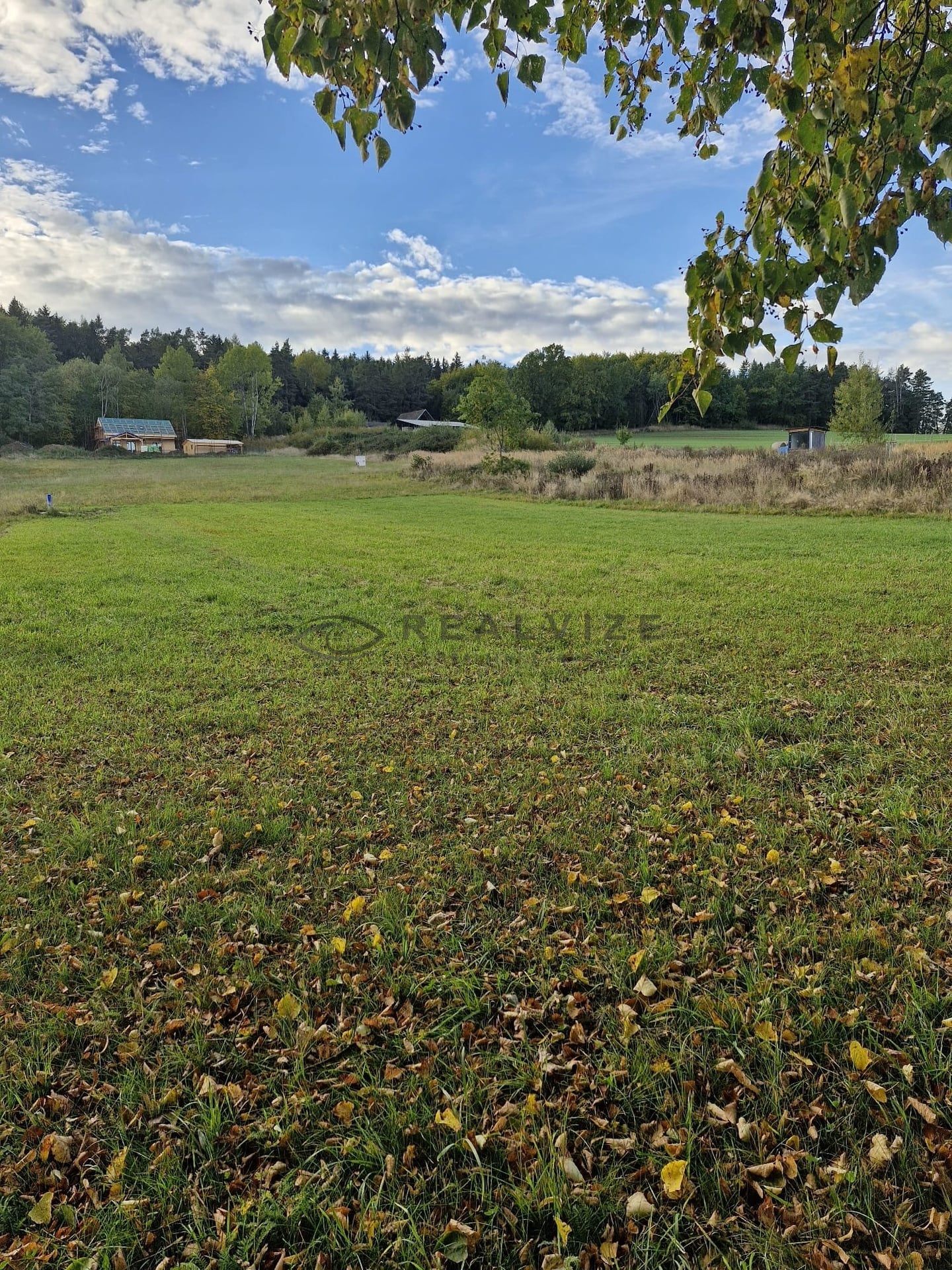 WhatsApp Image 2025-10-08 at 17.37.33