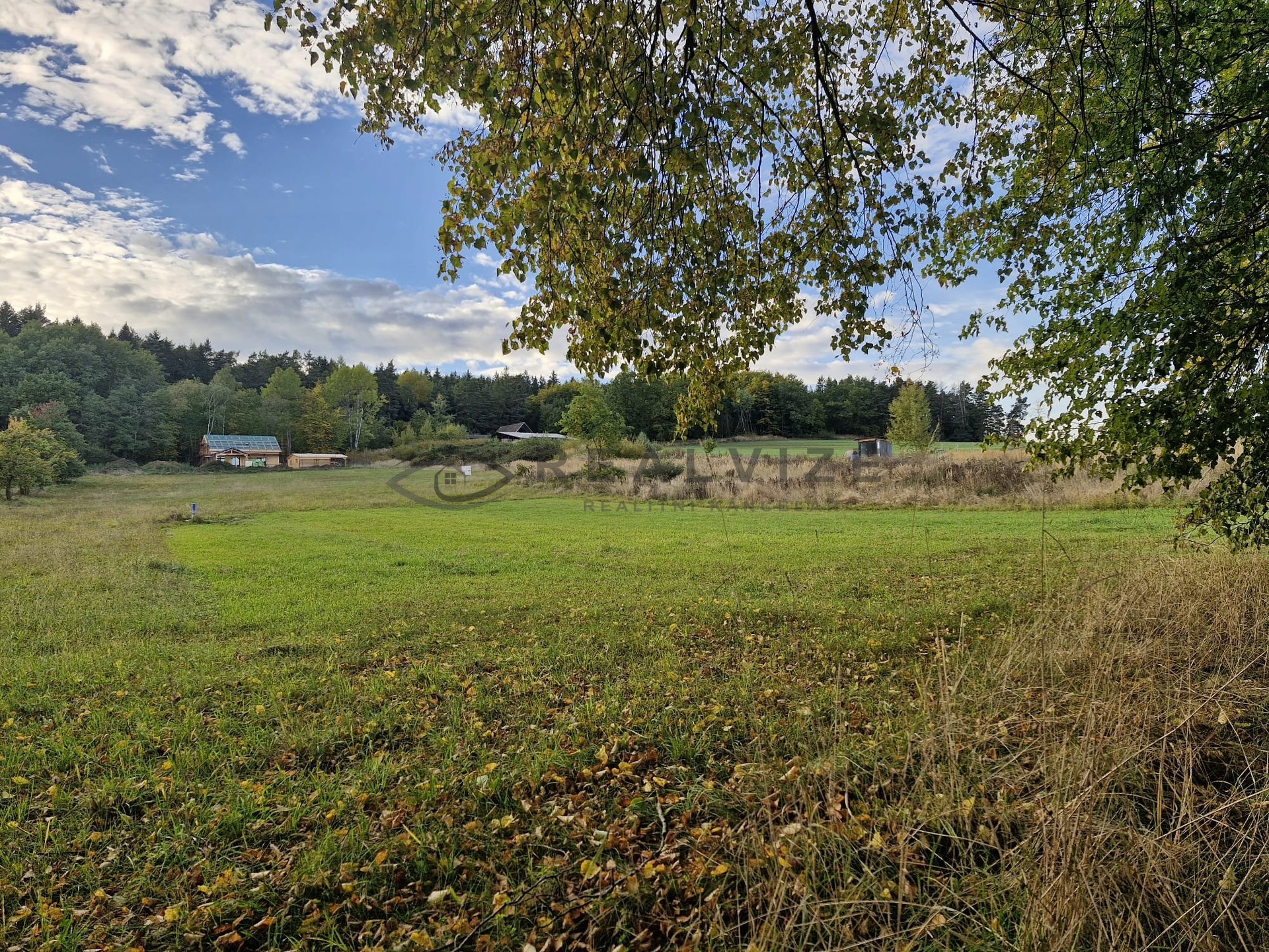 WhatsApp Image 2025-10-08 at 17.37.34