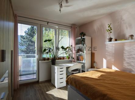 Pronájem bytu, 3+1, 67 m²