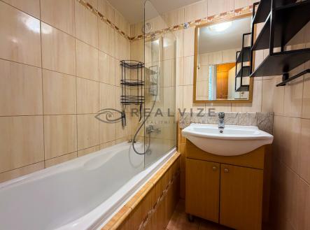 Pronájem bytu, 5+1, 67 m²