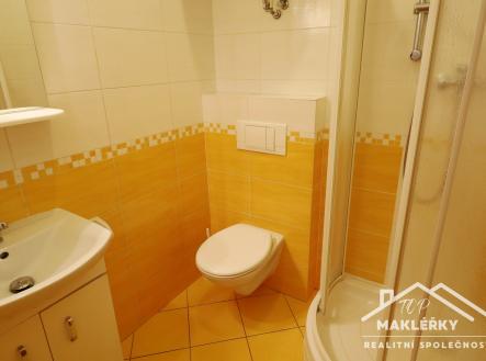 Pronájem bytu, 1+1, 37 m²