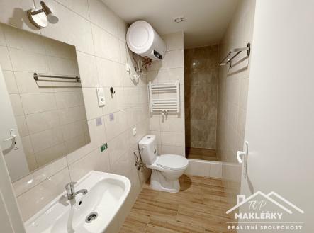 Pronájem bytu, 1+1, 21 m²