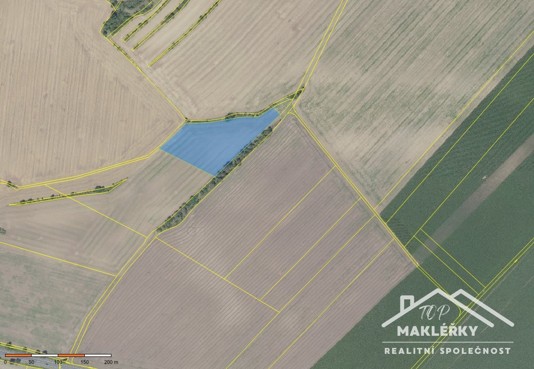 299670c1-8ff0-41ae-b84f-8e595cafe3cb