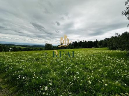 Prodej - pozemek, trvalý travní porost, 14 803 m²