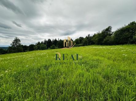 Prodej - pozemek, trvalý travní porost, 14 803 m²