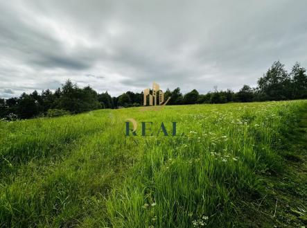 Prodej - pozemek, trvalý travní porost, 14 803 m²