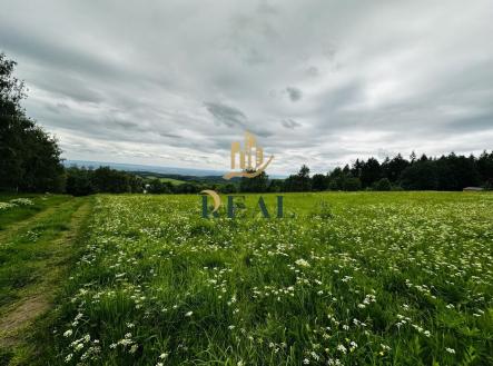 Prodej - pozemek, trvalý travní porost, 6 594 m²