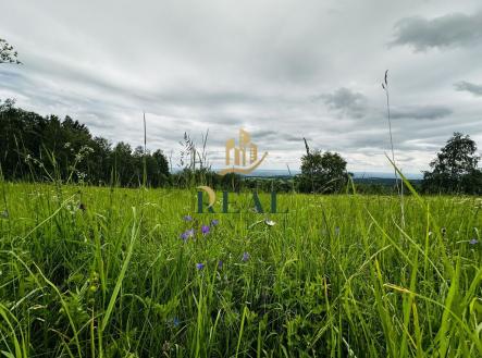 Prodej - pozemek, trvalý travní porost, 6 594 m²