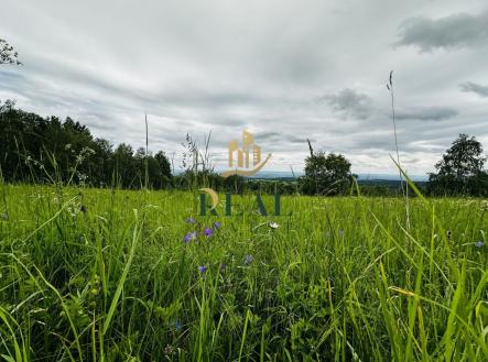 Prodej pozemku, trvalý travní porost, 6 594 m²