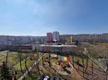 20250328_110733.jpg