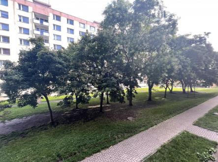 IMG_4772.jpeg