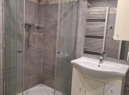 Pronájem bytu, 2+1, 50 m²