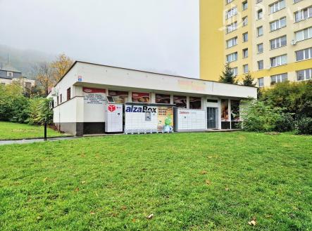 Prodej obchodní prostor, 500 m²