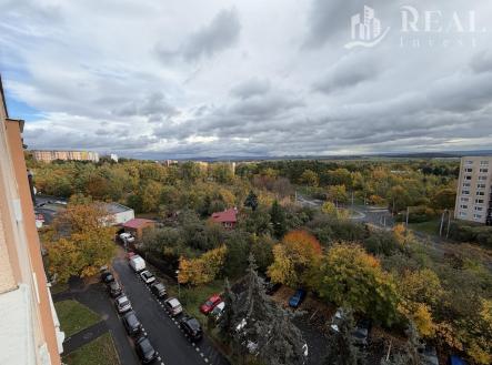 Pronájem bytu, 1+1, 40 m² obrázek