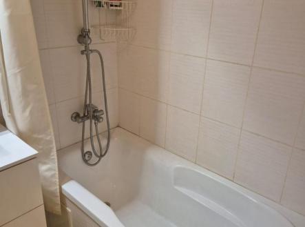 Pronájem bytu, 2+1, 56 m²