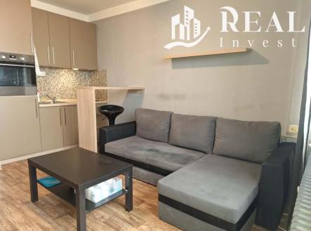 Pronájem bytu, 1+kk, 20 m²