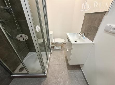 Pronájem bytu, 1+kk, 20 m²