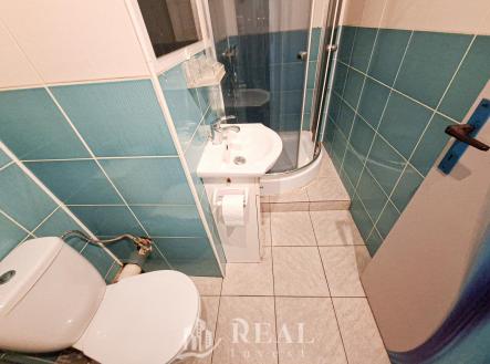 Pronájem bytu, 1+kk, 24 m²