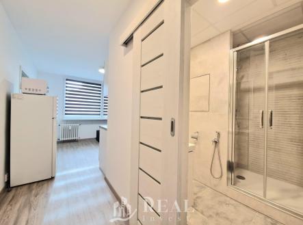 Pronájem bytu, 1+1, 35,5 m²