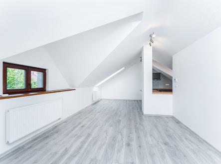 Pronájem bytu, atypický, 65 m²