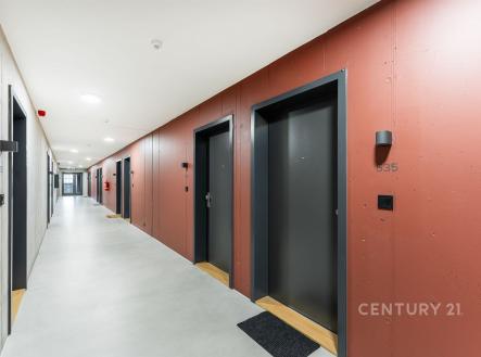 Pronájem bytu, 1+kk, 33 m²