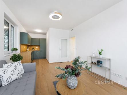 Pronájem bytu, 2+kk, 48 m²