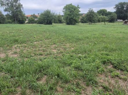 Prodej pozemku pro bydlení, 1 923 m²