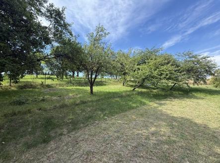 Prodej - pozemek pro bydlení, 692 m²