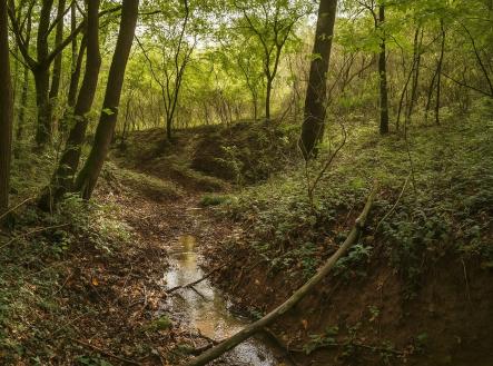 Prodej pozemku, zahrada, 1 891 m²