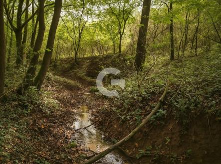 Prodej pozemku, zahrada, 1 891 m²