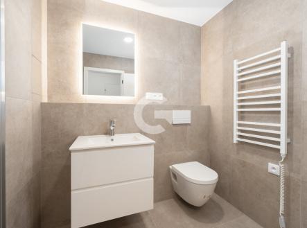 Pronájem bytu, 1+kk, 28 m²