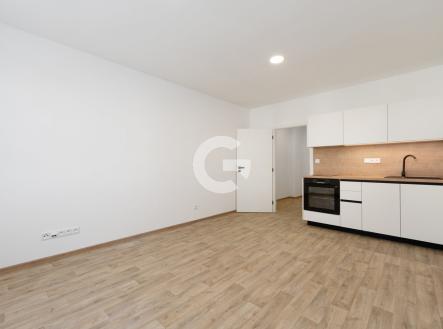 Pronájem bytu, 1+kk, 28 m²