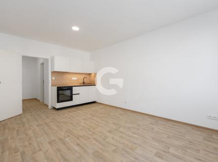 Pronájem bytu, 1+kk, 28 m²