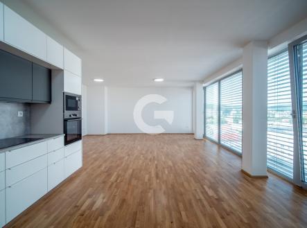 Pronájem bytu, 3+kk, 99 m²