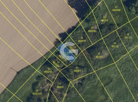 Prodej pozemku, trvalý travní porost, 11 770 m²