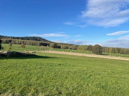 Prodej pozemku, zahrada, 955 m²