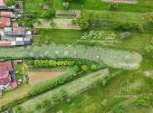 Prodej pozemku pro bydlení, 2 455 m²