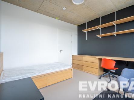 Pronájem bytu, 1+kk, 28 m²