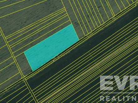 Prodej pozemku, zemědělská půda, 32 101 m²