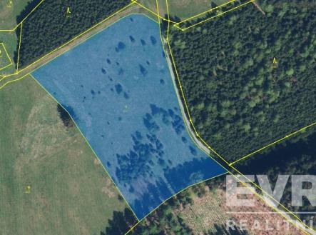 Prodej pozemku, trvalý travní porost, 12 820 m²