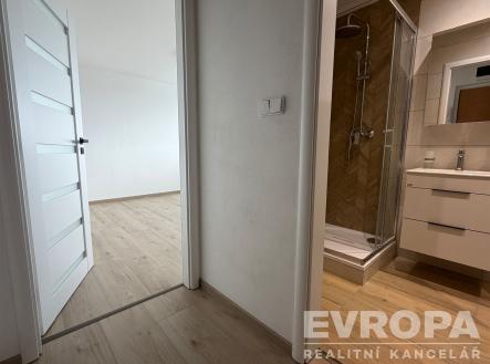 Pronájem bytu, 1+kk, 27 m²